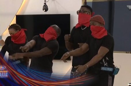 Spherical 1: Staff Purple takes it to the subsequent stage! – BBNaija | S9 | Africa Magic