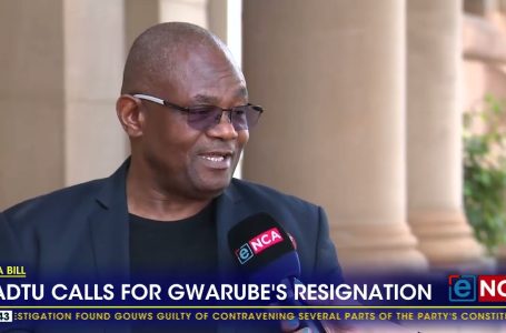 SADTU requires Gwarube’s resignation as Schooling Minister