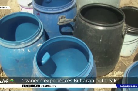 A number of areas close to Tzaneen hit by Bilharzia outbreak