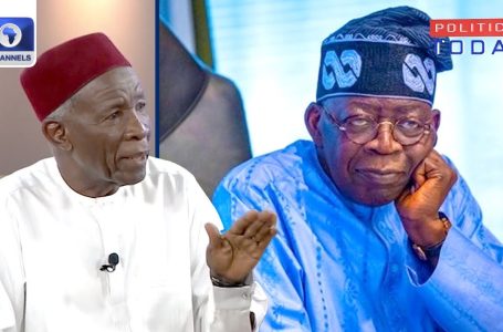 Some Tinubu Appointees Extra  In Their Pockets, Says Buba Galadima | Politics Immediately