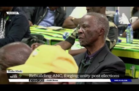 The ANC must look very fastidiously at itself: Thabo Mbeki