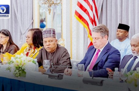 UNGA 79: US Commits $320M To Mortgage, SMEs, Others In Nigeria