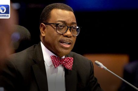 UNGA: AfDB’s Adesina Seeks Institutional Help Programs For Africa