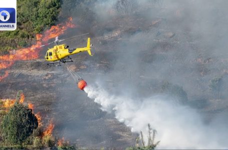 Villagers Evacuated In Southwestern France Due To Wildfire + Extra | The World Immediately