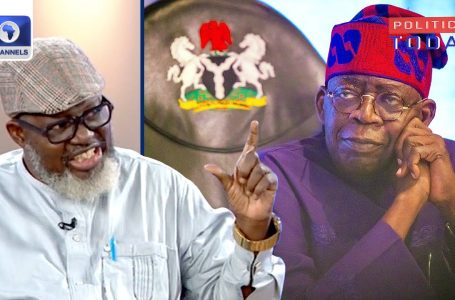 Why Tinubu Should not Belief His ‘Kitchen Cupboard’ — Ex-Minister | Politics Right this moment