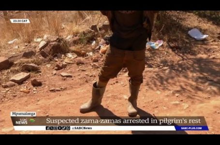 Zama-zamas arrested in Pilgrim’s Relaxation