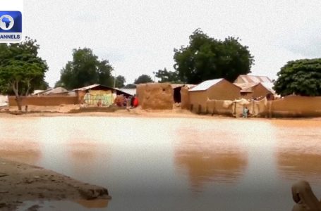 Zamfara Flood Catastrophe: Over 10,000 Households Displaced In Gummi LGA