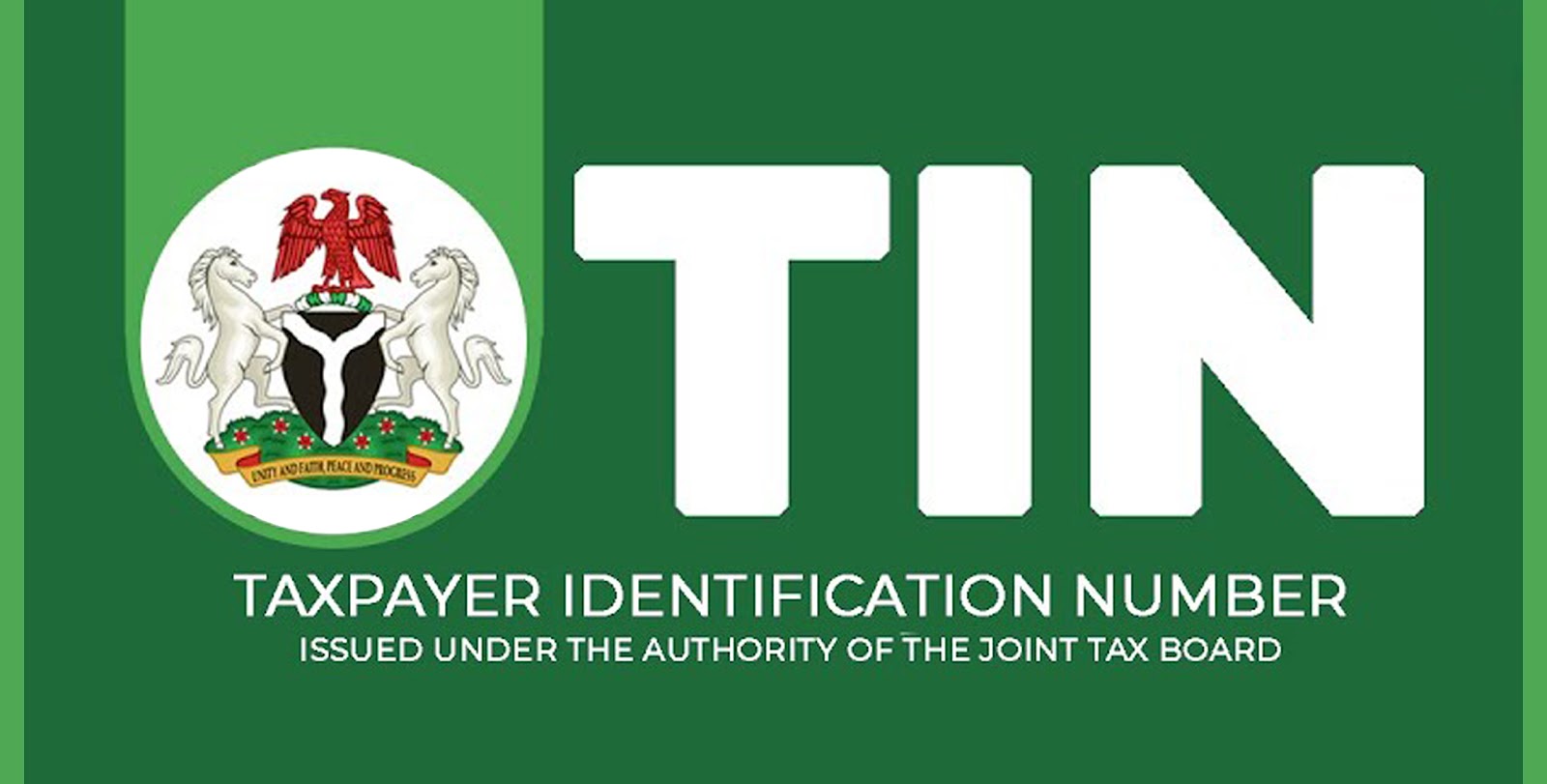 The way to get hold of your Tax Identification Quantity (TIN) in Nigeria 2024