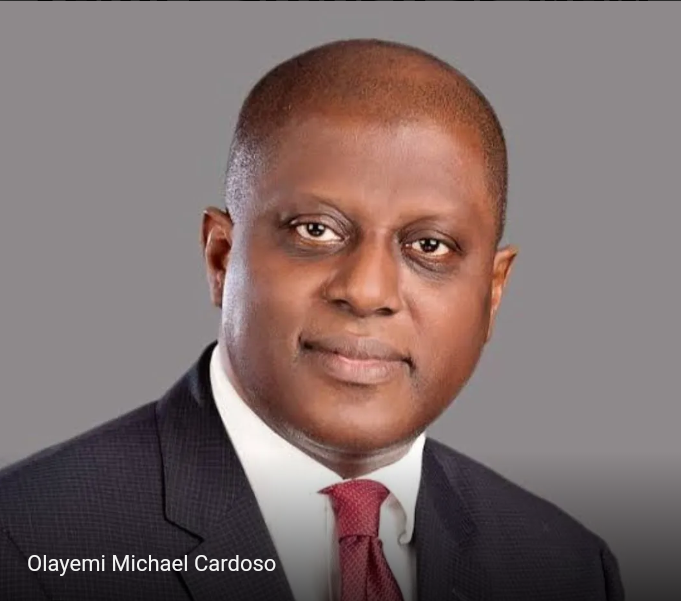Cardoso: Monetary Assist For Ladies Entrepreneurs Is Prime Precedence