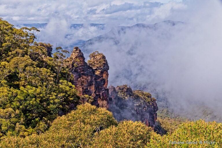 Australia’s International ‘Nature Optimistic’ Summit options Indigenous voices, however little authorities motion