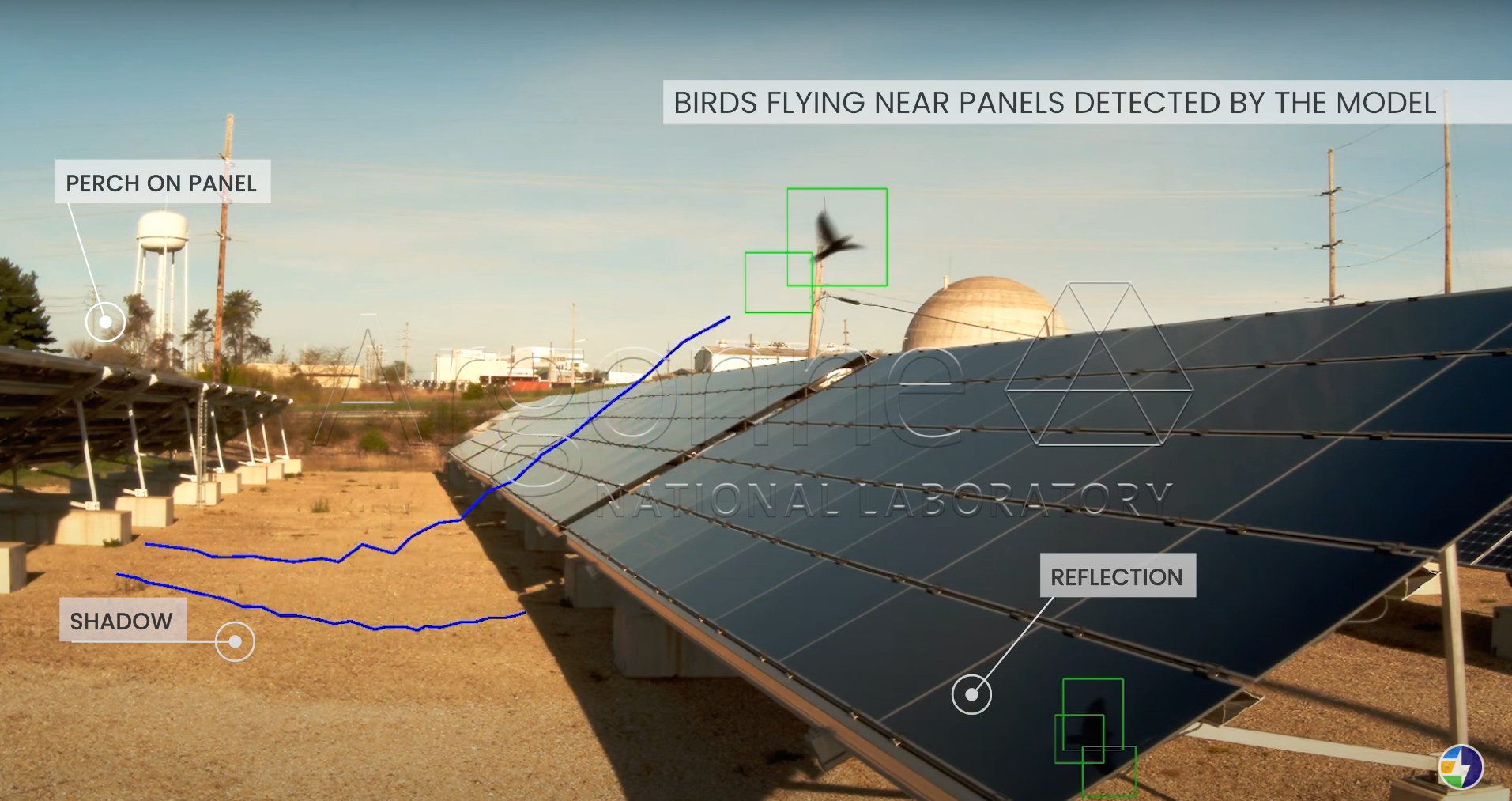 Solar energy and birds? They could go collectively higher than you assume