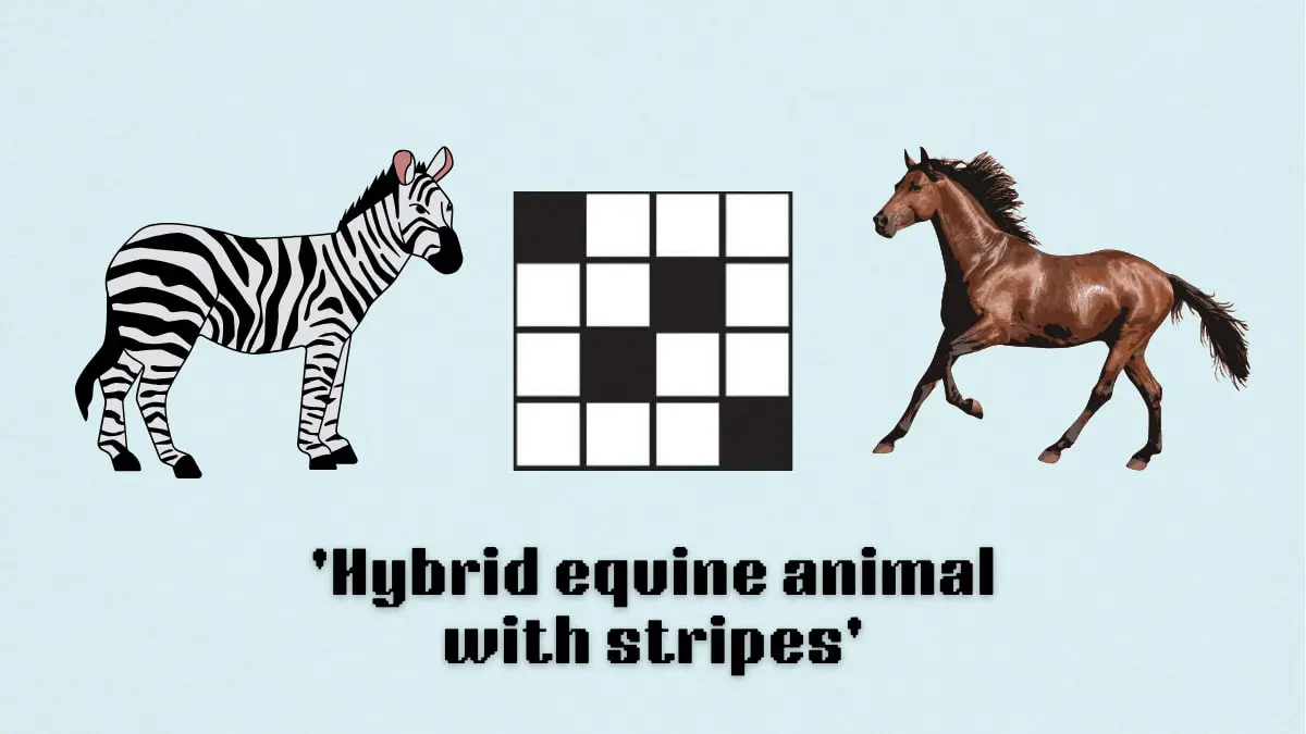 ‘Hybrid equine animal with stripes’ NYT Mini Crossword puzzle clues, reply and hints