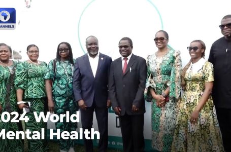 2024 World Psychological Well being: Lagos Govt Creates Consciousness To Cease Enhance