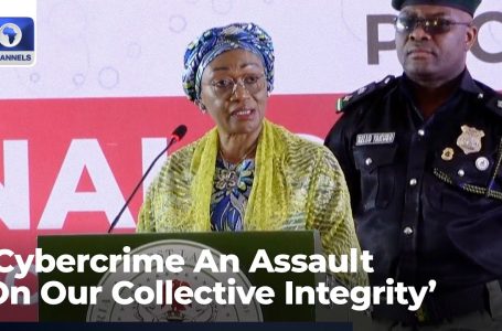 Cybercrime An Assault On Nigeria’s Integrity, Financial Stability & Future Of Youths – Oluremi Tinubu