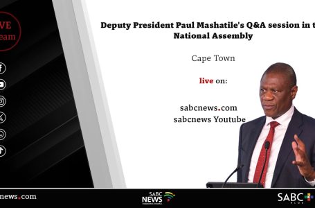 Deputy President Paul Mashatile Q&A session in Parliament