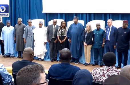 FG, CSOs Decry Democratic Recession In Africa