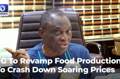 FG To Revamp Meals Manufacturing To Crash Down Hovering Costs