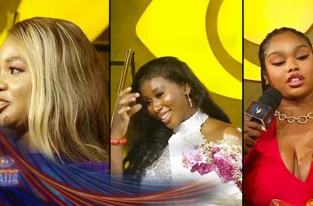 Finale: Nelly, Onyeka, and Victoria signal out – BBNaija | S9 | Africa Magic