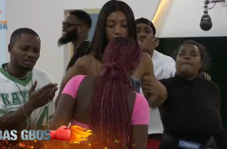 Finale: The season’s gbas gbos – BBNaija | S9 | Africa Magic