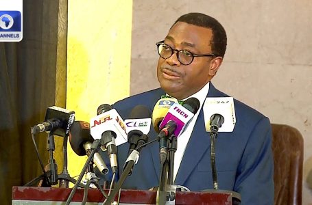 [Full Speech] AfDB To Set up $100m Funding Financial institution For Nigerian Youths  – Adesina