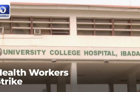 Well being Staff Strike: JOHESU Members Comply As Unions Proceed Strike