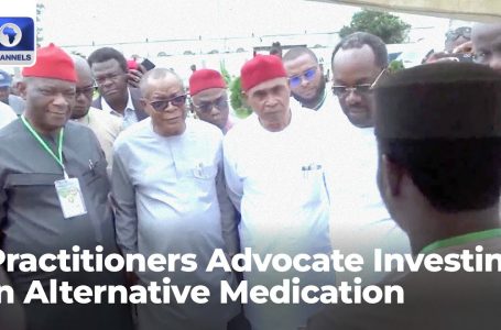 Natural Drugs: Medical Practitioners Advocate Investing In Various Remedy