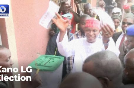 Kano LG Election: NNPP Sweeps Chairmen, Councillorship Positions