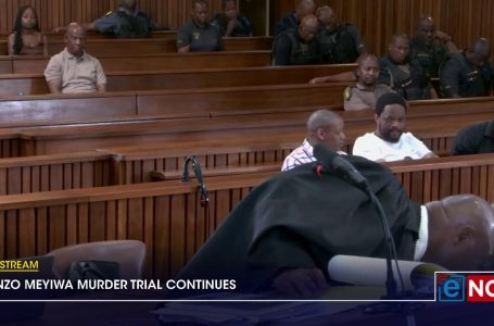 LIVESTREAM | Senzo Meyiwa Homicide Trial | 29 October 2024