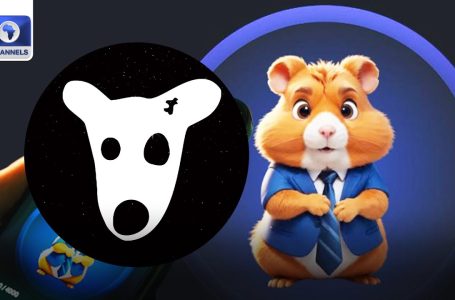 Listed Telegram Video games Like Hamster Kombat And Canine May Yield Beneficial properties – Analyst