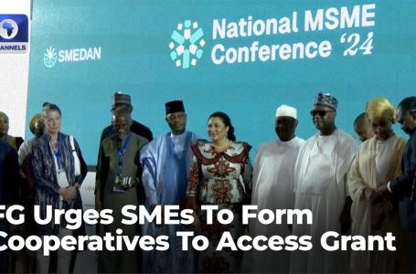 MSME Empowerment: FG Launches Grading System For ₦200bn SME Grant