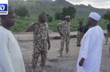 North East: B/Haram Kills 11 Individuals Round Madara Mountains + Extra | Newsroom Sequence