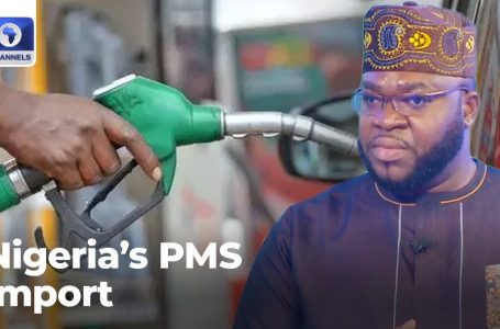 Petrol Worth Hike: Nigerians Paying The Worth Of Crossborder Smuggling   Knowledgeable