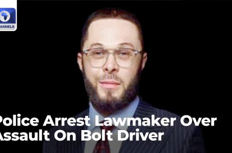 Police Arrest Lawmaker Over Assault On Bolt Driver