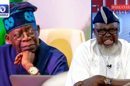 Tinubu’s Cupboard Shake-Up Not Essentially About Superior Minds – Shittu| Politics Right now