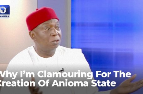 Why I’m Clamouring For The Creation Of Anioma State — Senator Nwoko