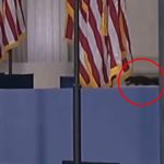 Squirrel noticed onstage earlier than Kamala Harris’ concession speech — and web thinks it’s the ghost of P’nut