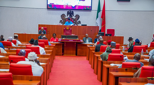 Senate Seeks Fast Elimination of CCT Chairman Over Misconduct Allegations