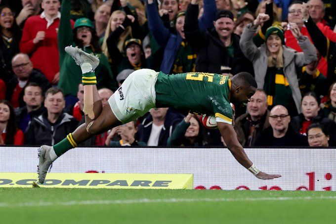 JUST IN: Springboks finish the 12 months high of the world rankings after dominant win towards Wales