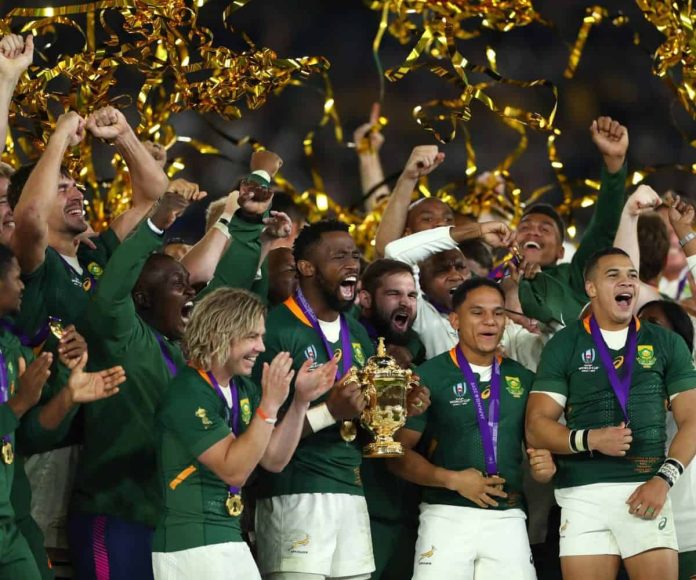 World Cup profitable Springbok strikes to French High 14 membership