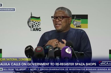 African Nationwide Congress | Mbalula calls on govt to re register spaza retailers