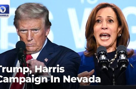 America’s Selection 2024: Trump, Harris Marketing campaign In Nevada