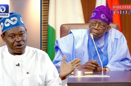 Borrow ‘Good Cash,’ Make investments In Infrastructure, Senator Counsels Tinubu | Politics Immediately