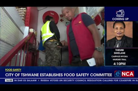 Metropolis of Tshwane establishes meals security committee