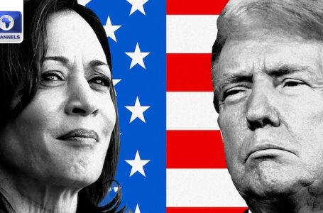 Donald Trump Or Kamala Harris?: People Go To The Polls  The US Elections