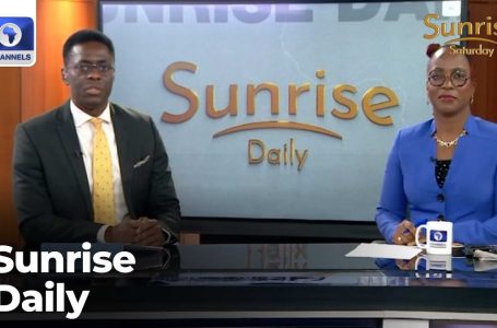 Unique Chat With Edo Deputy Gov, Ndi Okereke-Onyuike, G20 Summit Replace | Dawn Every day