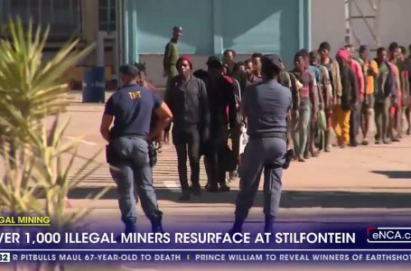 Unlawful mining | Over 1,000 unlawful miners resurface at Stilfontein