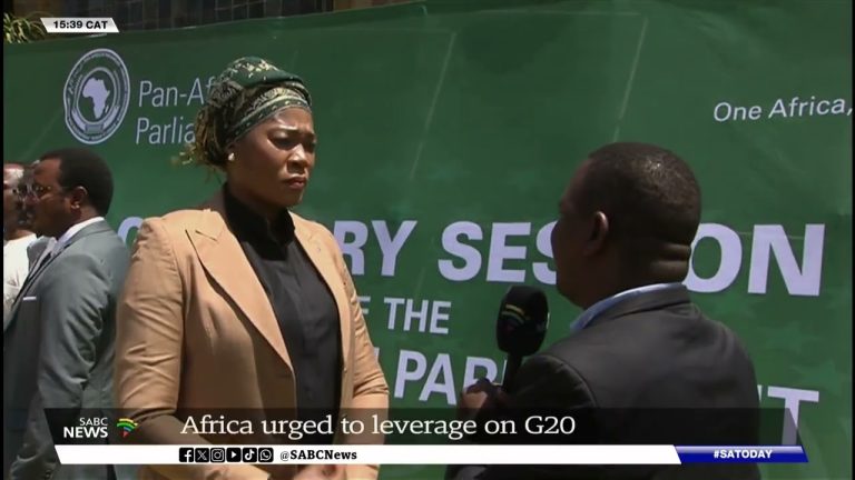 Pan African Parliament | Africa urged to leverage on G20: Thandi Moraka