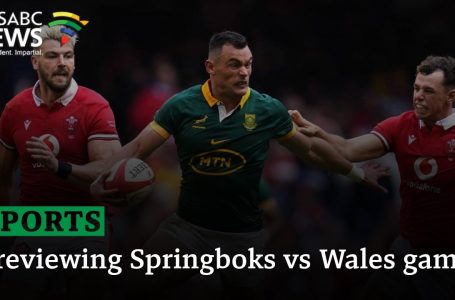 Previewing Springboks vs Wales recreation