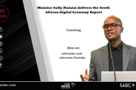 South African Digital Financial system Report