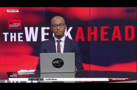 The Week Forward | 17 November 2024